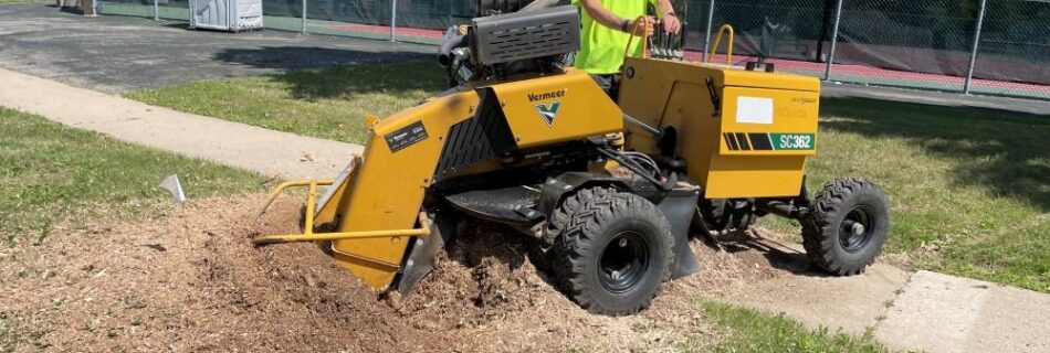 stump grinding