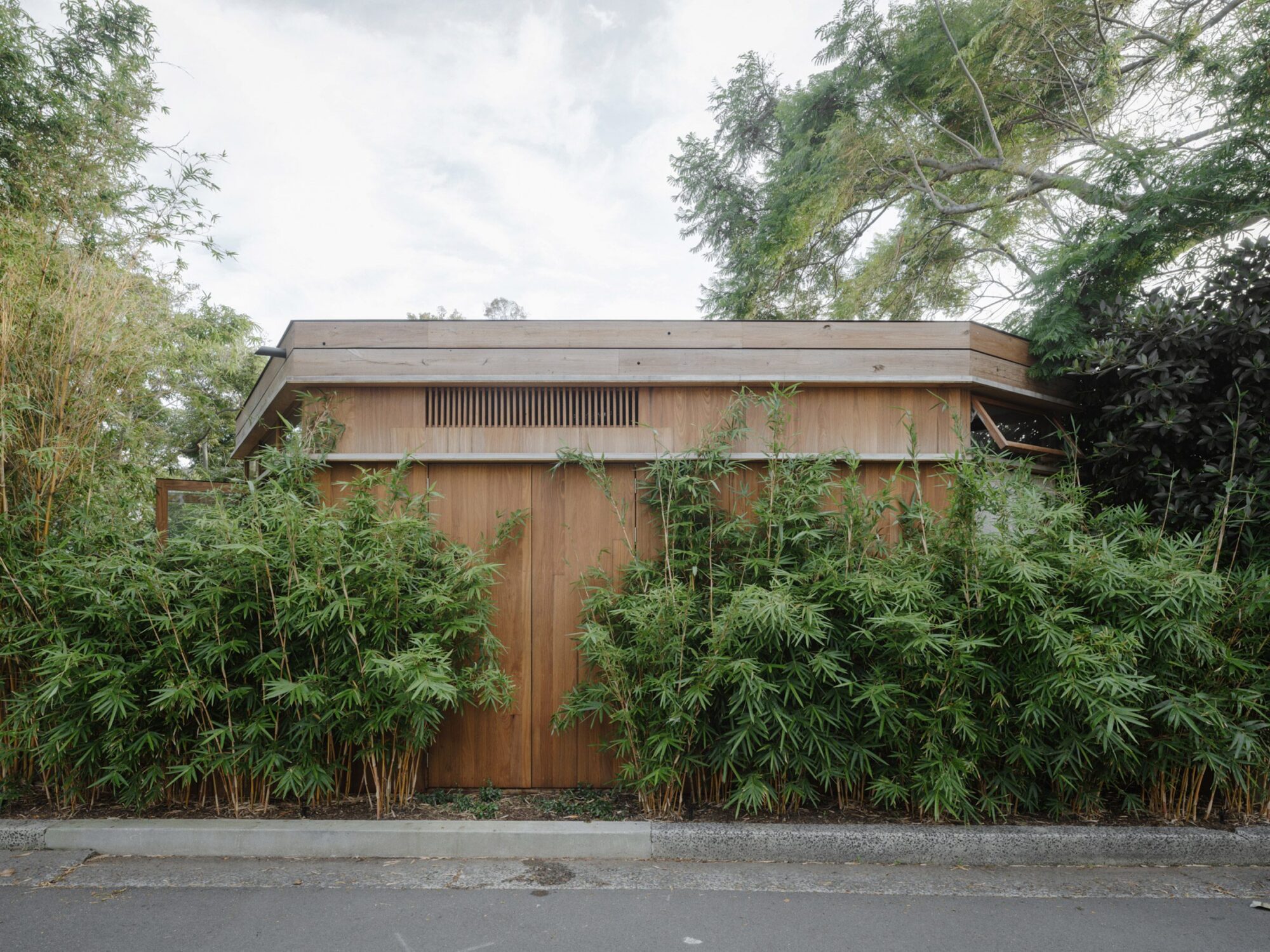 Tree Lopping Sydney: The Term Everyone Uses and Almost Nobody Defines