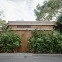 Tree Lopping Sydney: The Term Everyone Uses and Almost Nobody Defines
