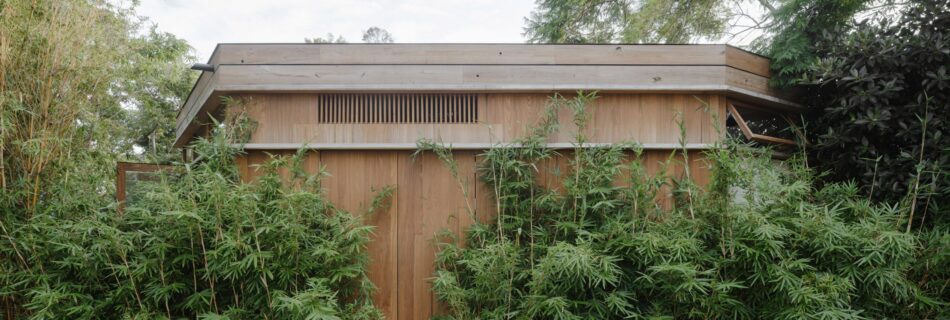 Tree Lopping Sydney: The Term Everyone Uses and Almost Nobody Defines